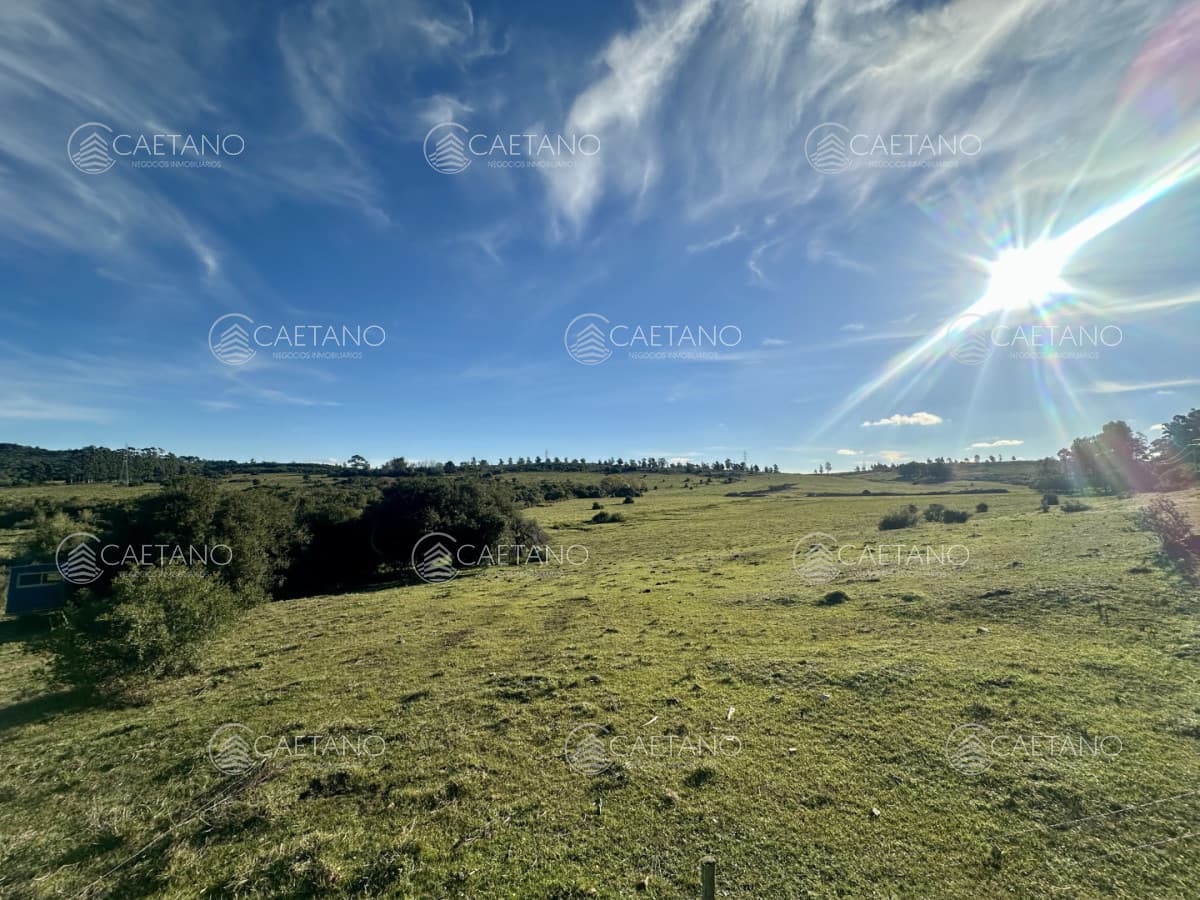 Venta chacra. Punta Ballena, Maldonado.