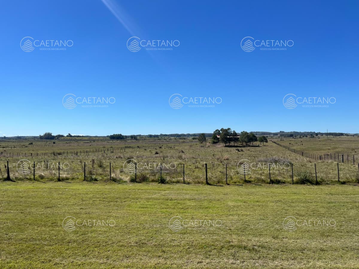 VENTA DE CAMPO EN MALDONADO