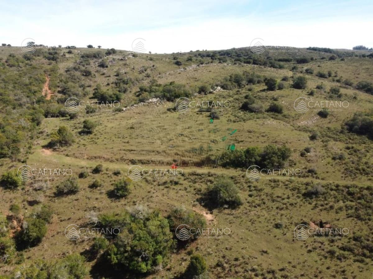 Venta Campo 80 hectareas