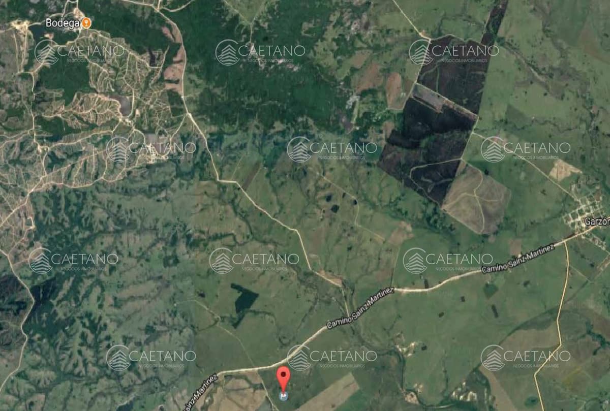 Excelente campo de 113 hectáreas ubicado en Garzón