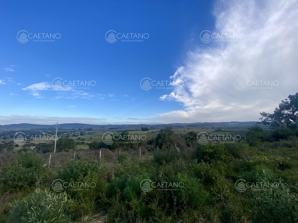 Venta campo 261 hectareas. Ruta 12 Maldonado.