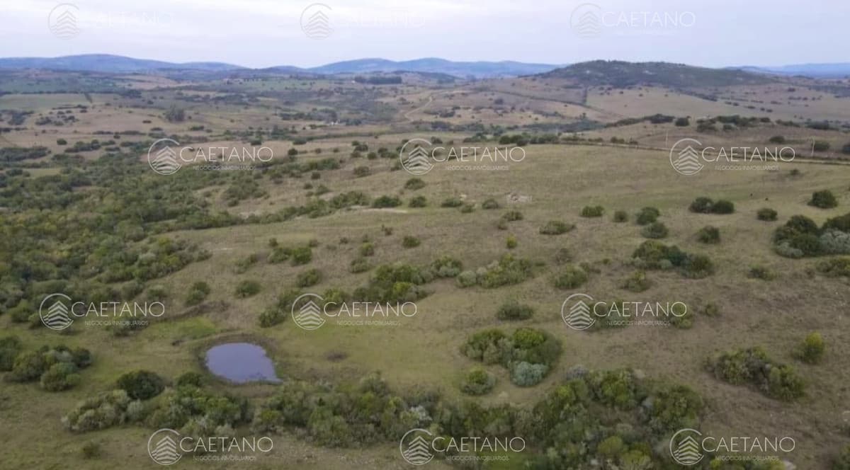 Venta chacra 36has Pueblo Eden