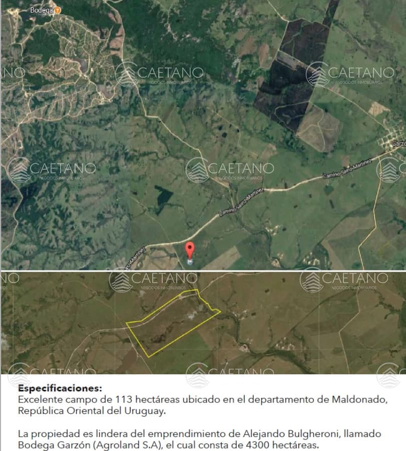 Excelente campo de 113 hectáreas ubicado en Garzón