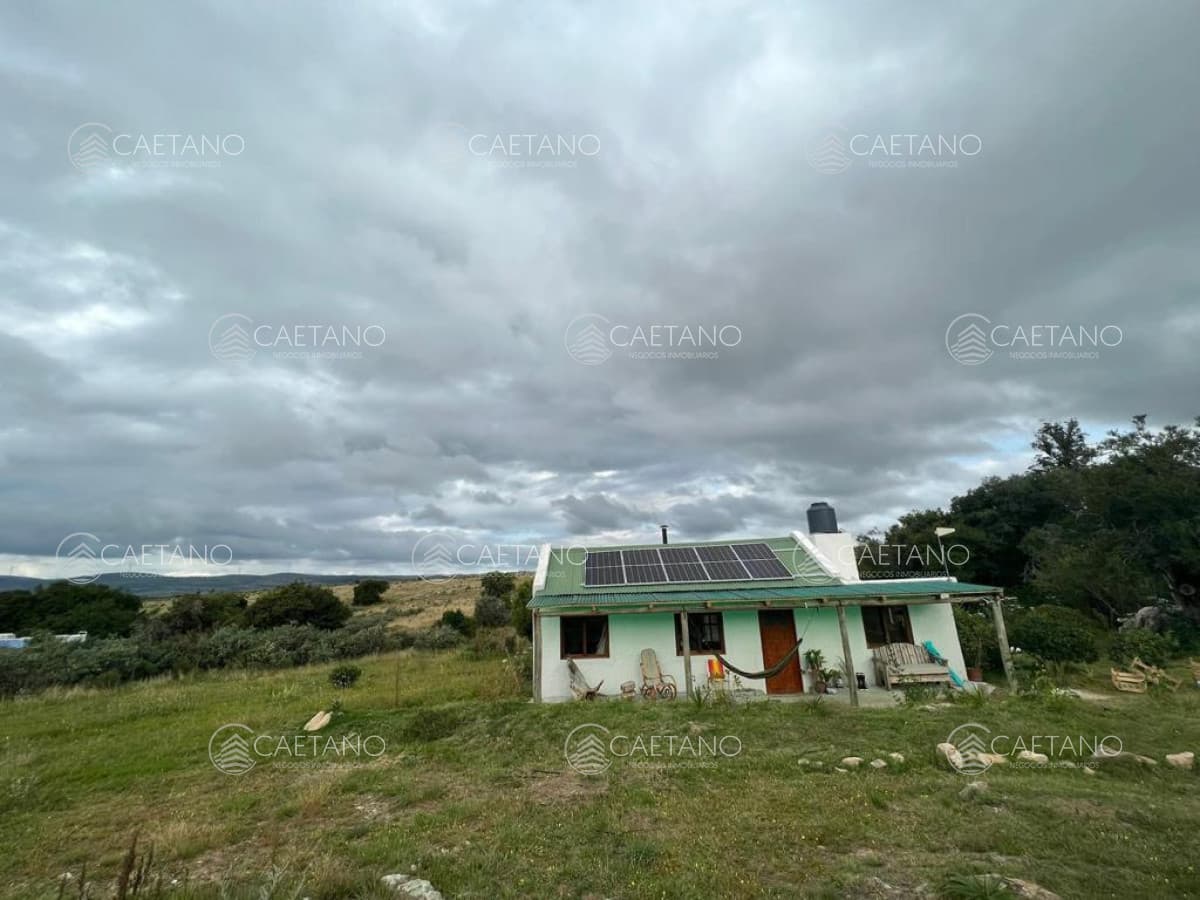 Campo de 89 has en venta Pueblo Eden