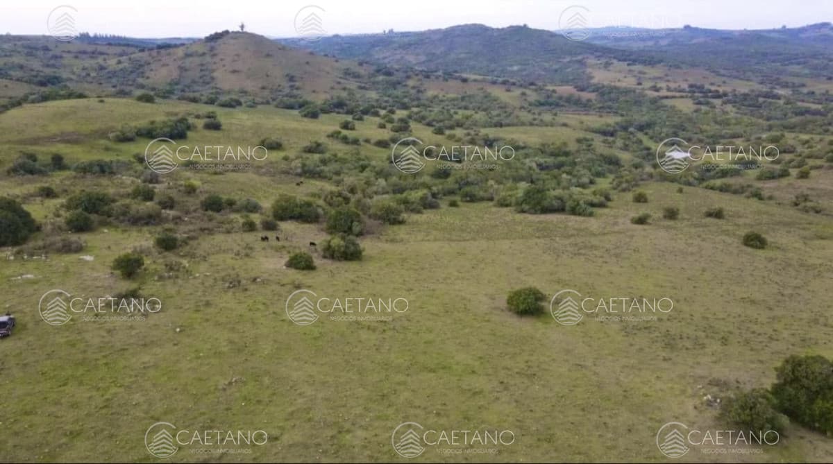 Venta chacra 36has Pueblo Eden