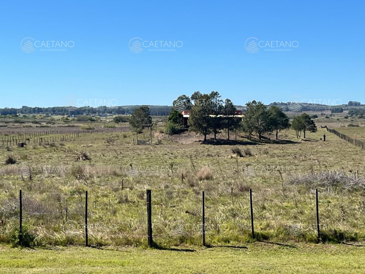 VENTA DE CAMPO EN MALDONADO