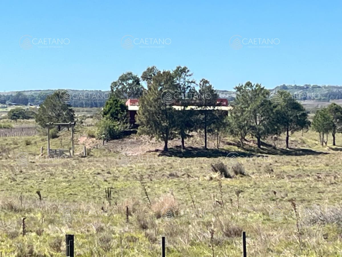 VENTA DE CAMPO EN MALDONADO