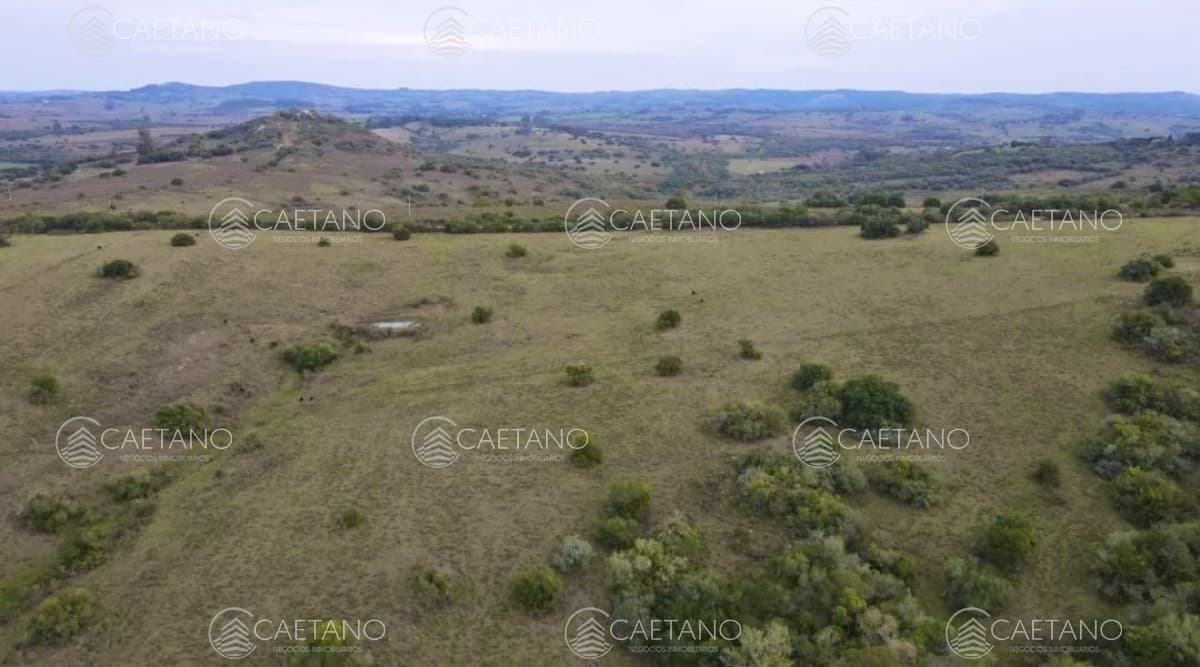 Venta chacra 36has Pueblo Eden