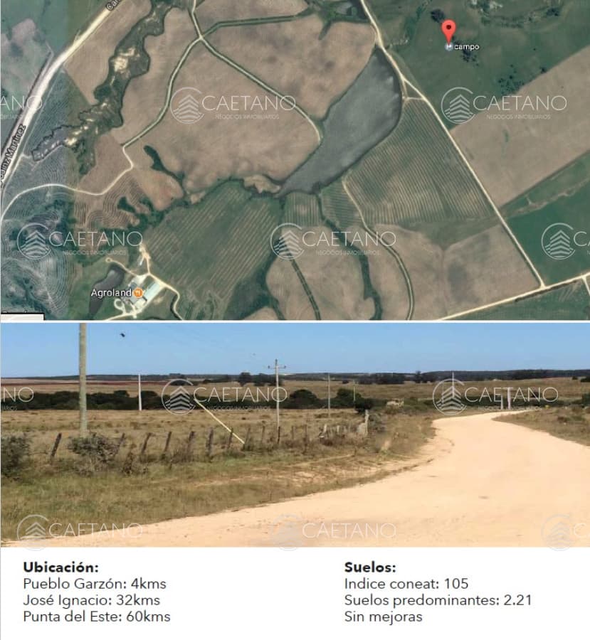 Excelente campo de 113 hectáreas ubicado en Garzón