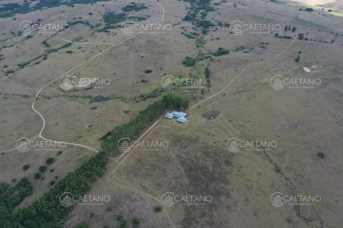 Campo de 89 has en venta Pueblo Eden