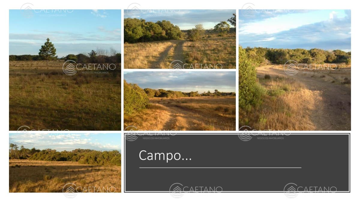 Venta campo 117 hectáreas sobre río de la plata