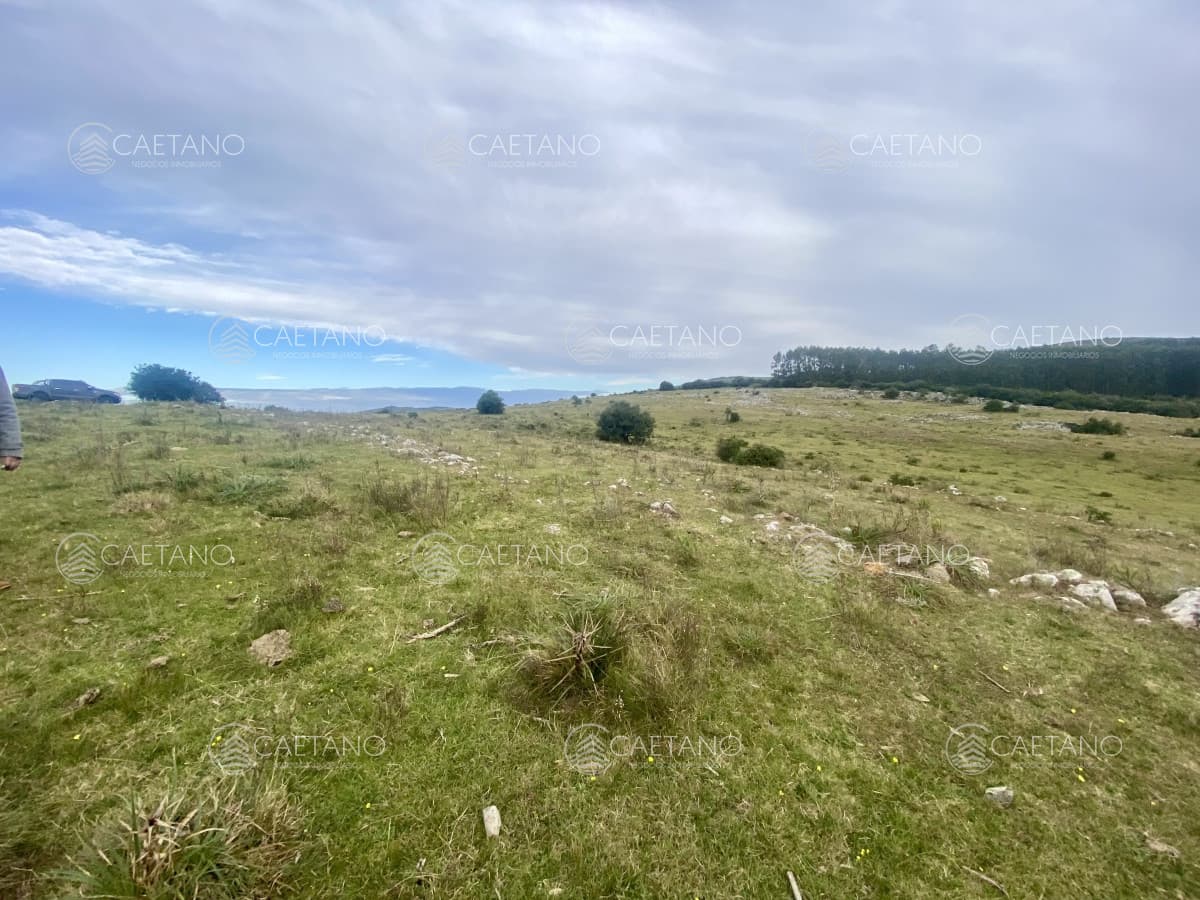 Venta campo 261 hectareas. Ruta 12 Maldonado.