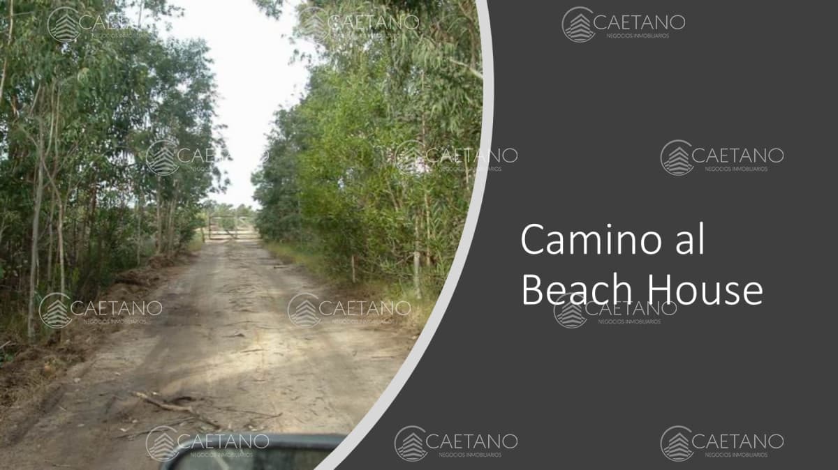 Venta campo 117 hectáreas sobre río de la plata