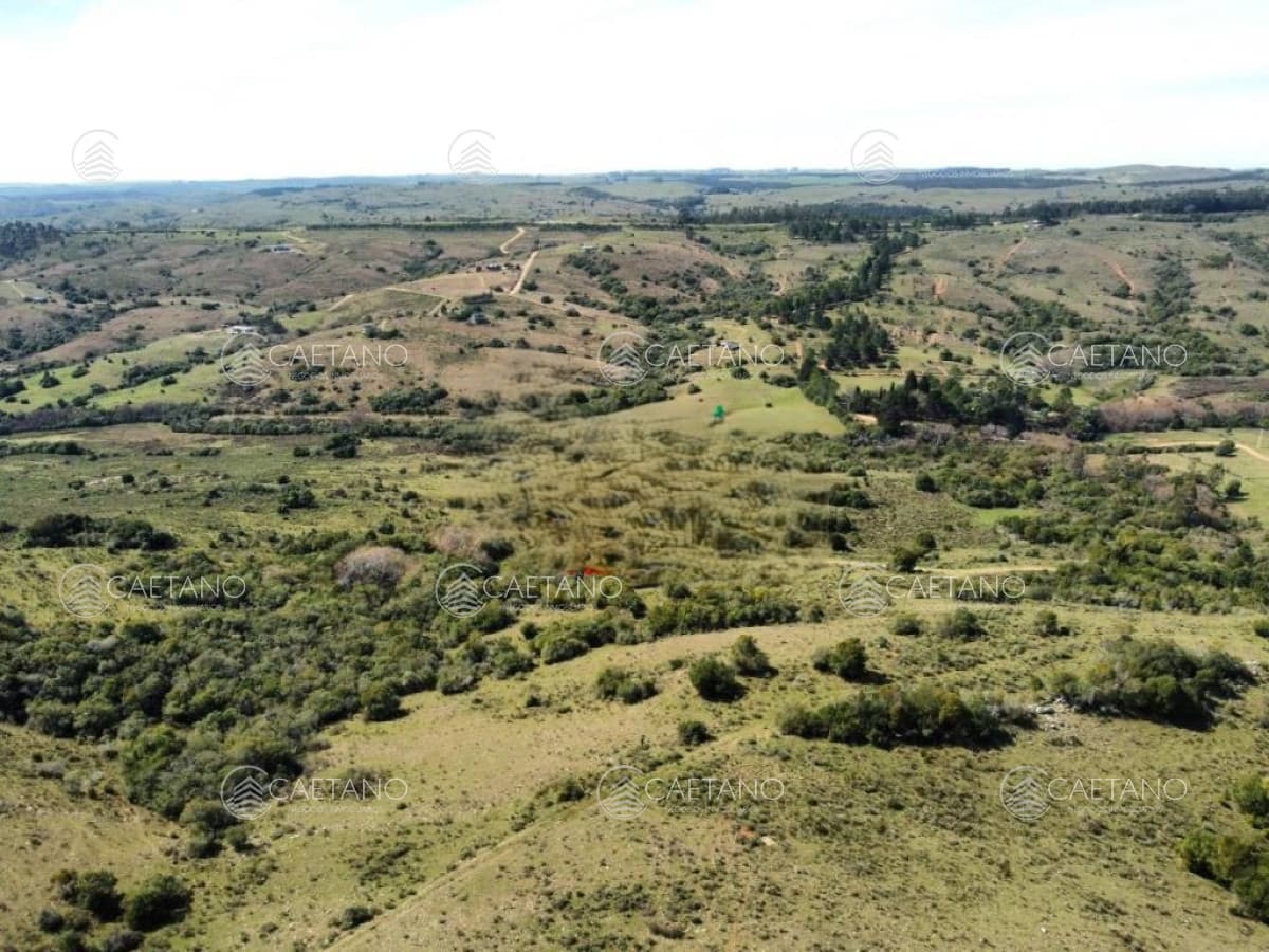 Venta Campo 80 hectareas