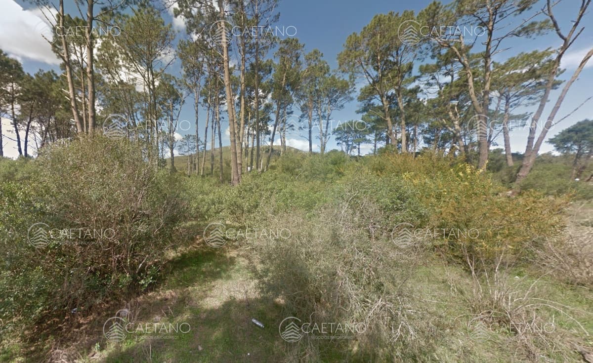 Venta Terreno en Piriapolis 11704m2