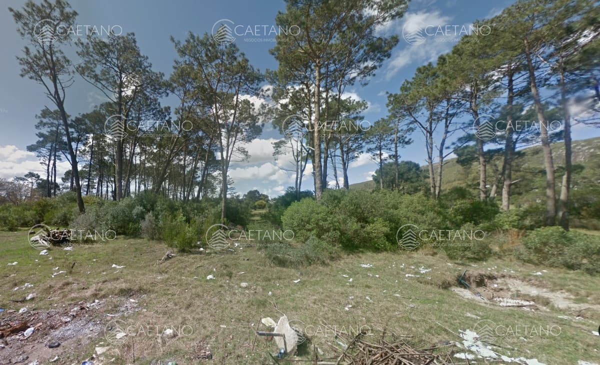 Venta Terreno en Piriapolis 11704m2