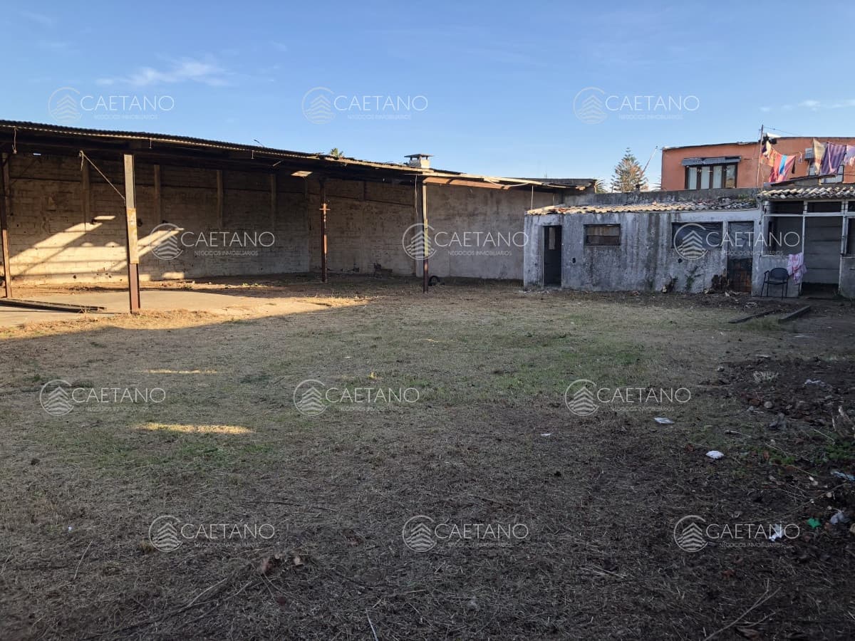 Apto para vivienda social