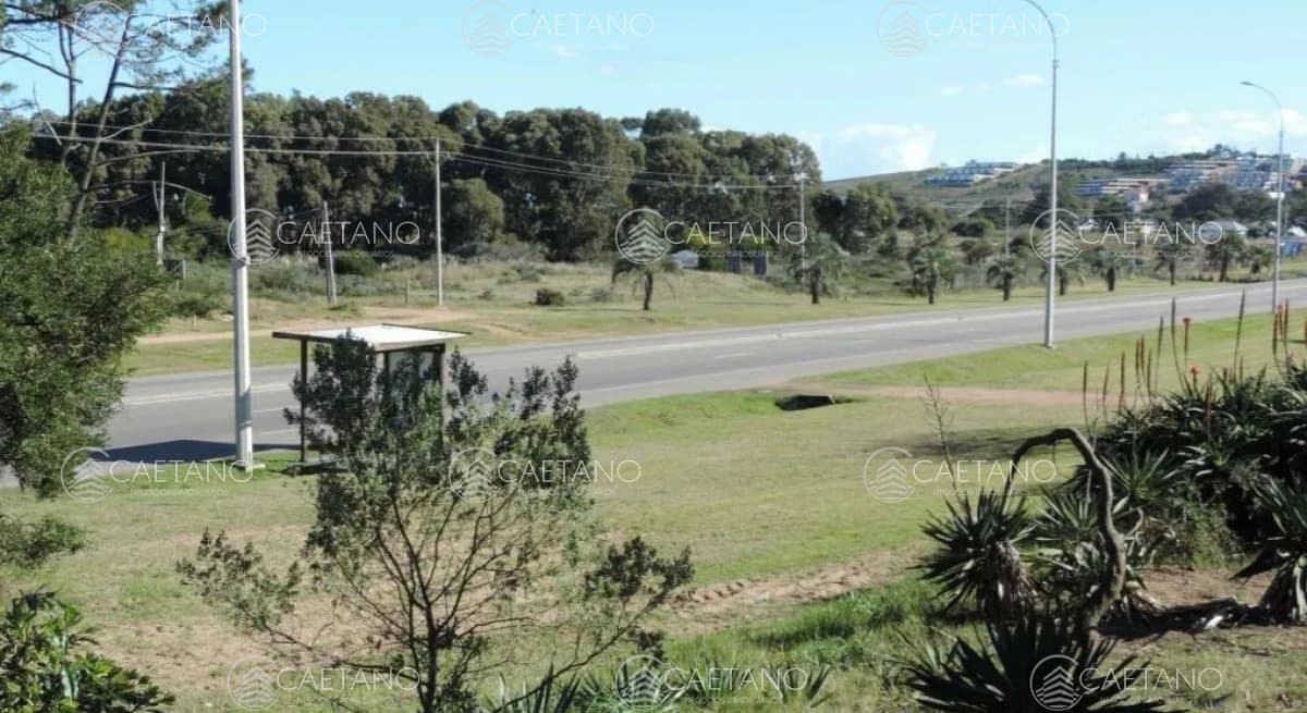 Venta de terreno. Punta Ballena