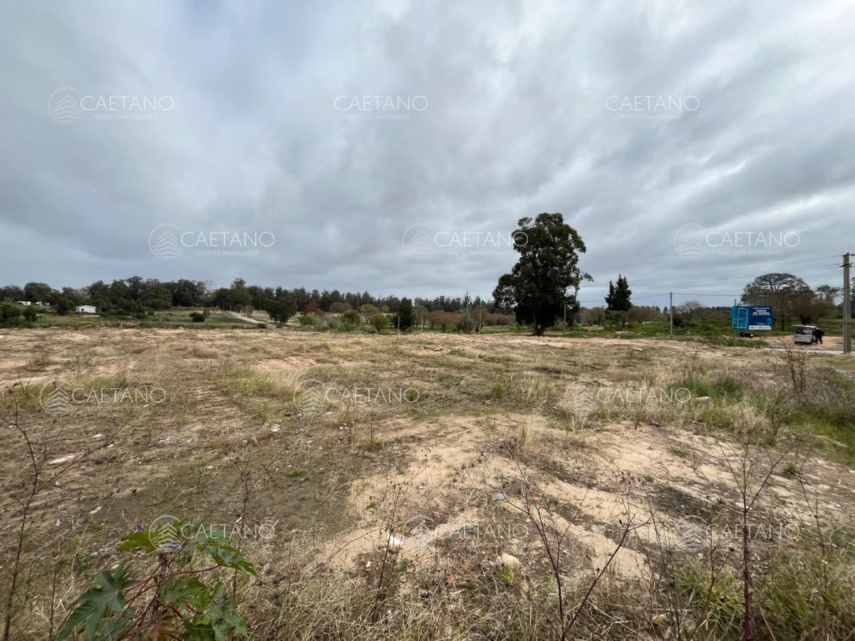 Venta terreno golf Punta del Este.