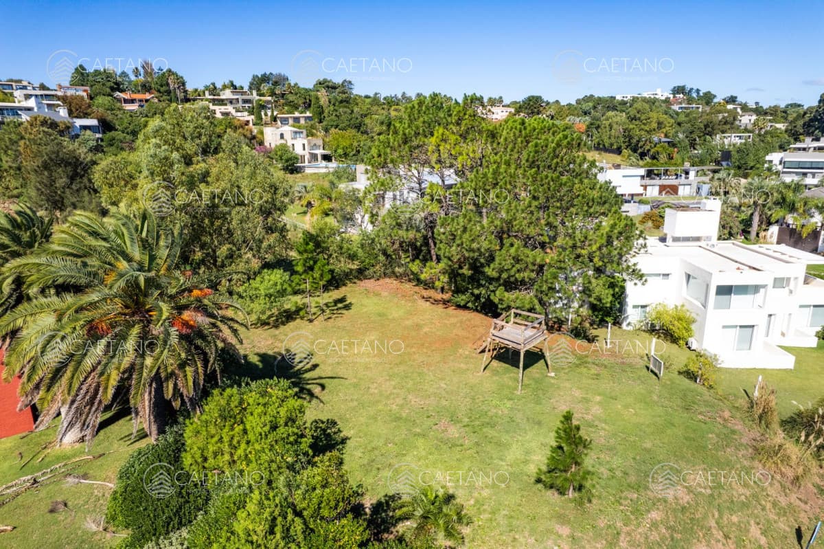 Venta terreno en Punta Ballena -
