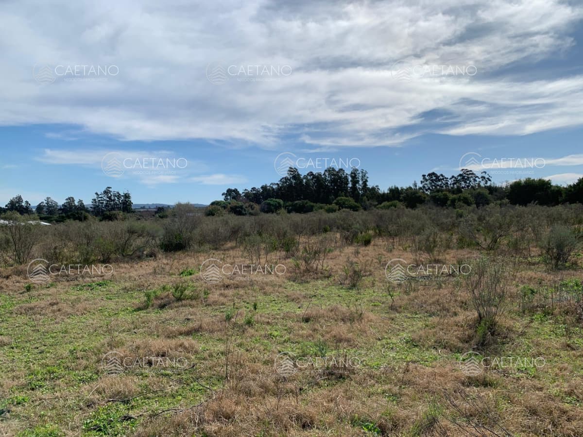 Venta Terreno en Maldonado, San Carlos