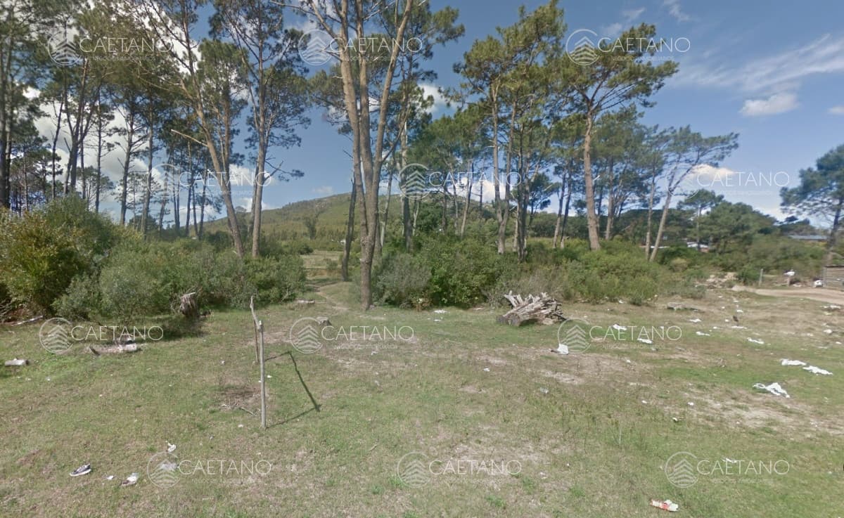 Venta Terreno en Piriapolis 11704m2