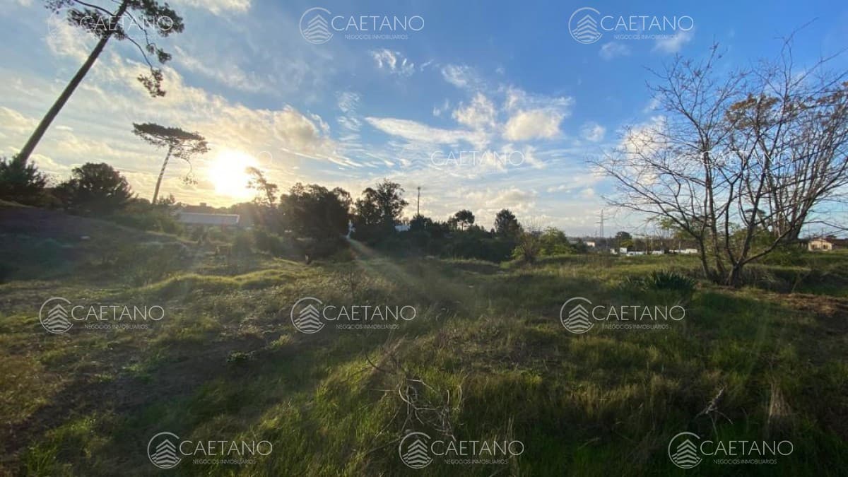 Terrenos en Av. Boulevard