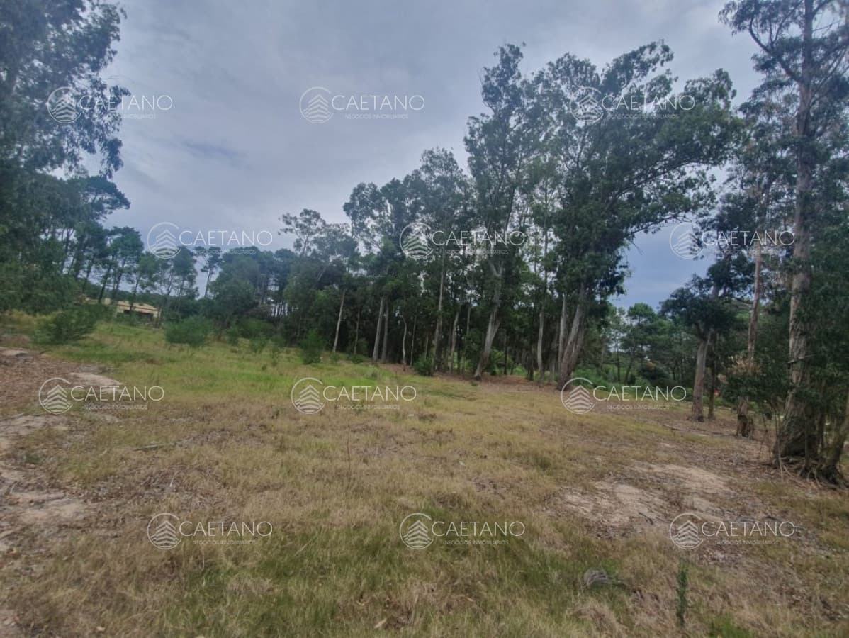 Terreno en venta!