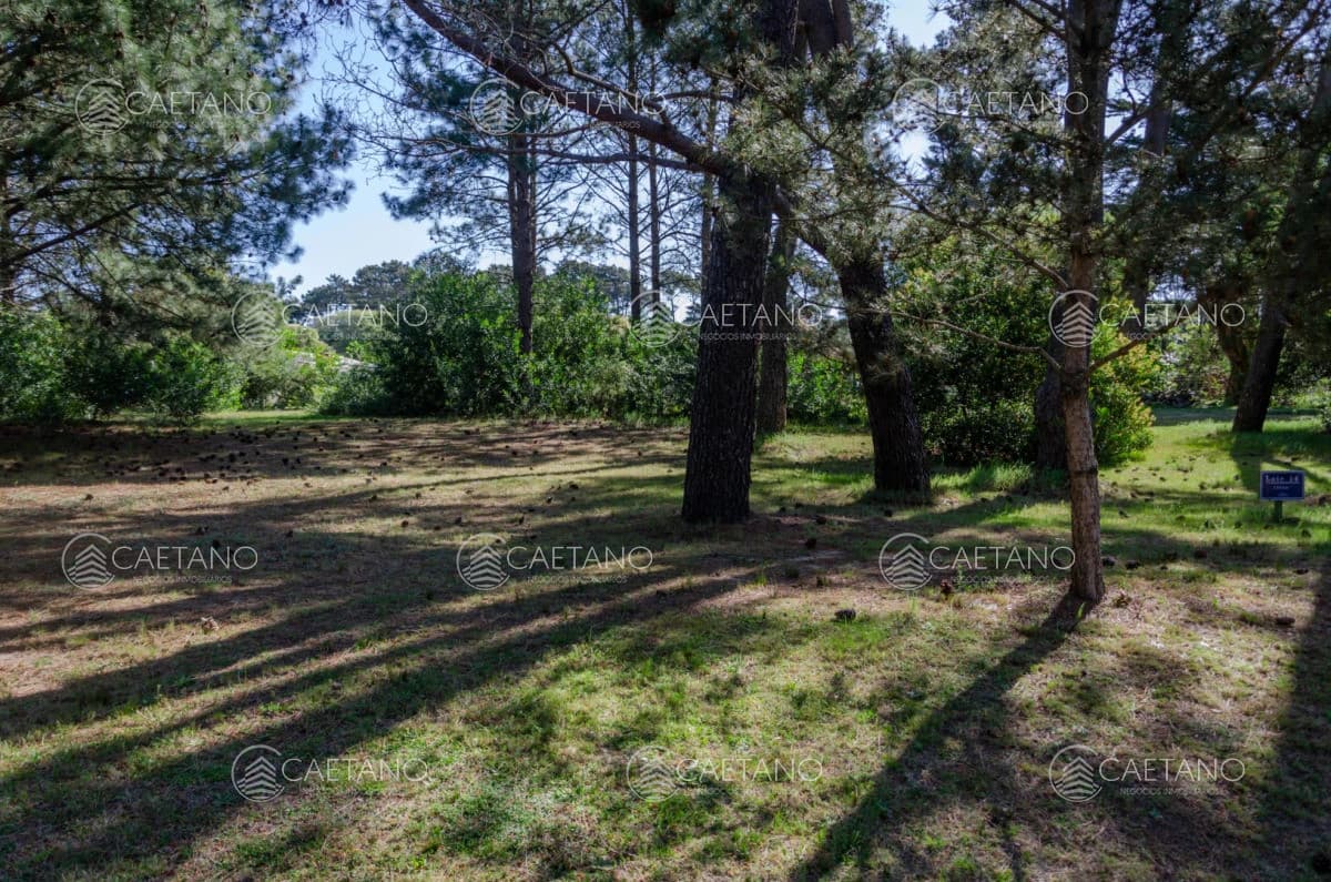 Venta lote en Veramansa, Playa Mansa