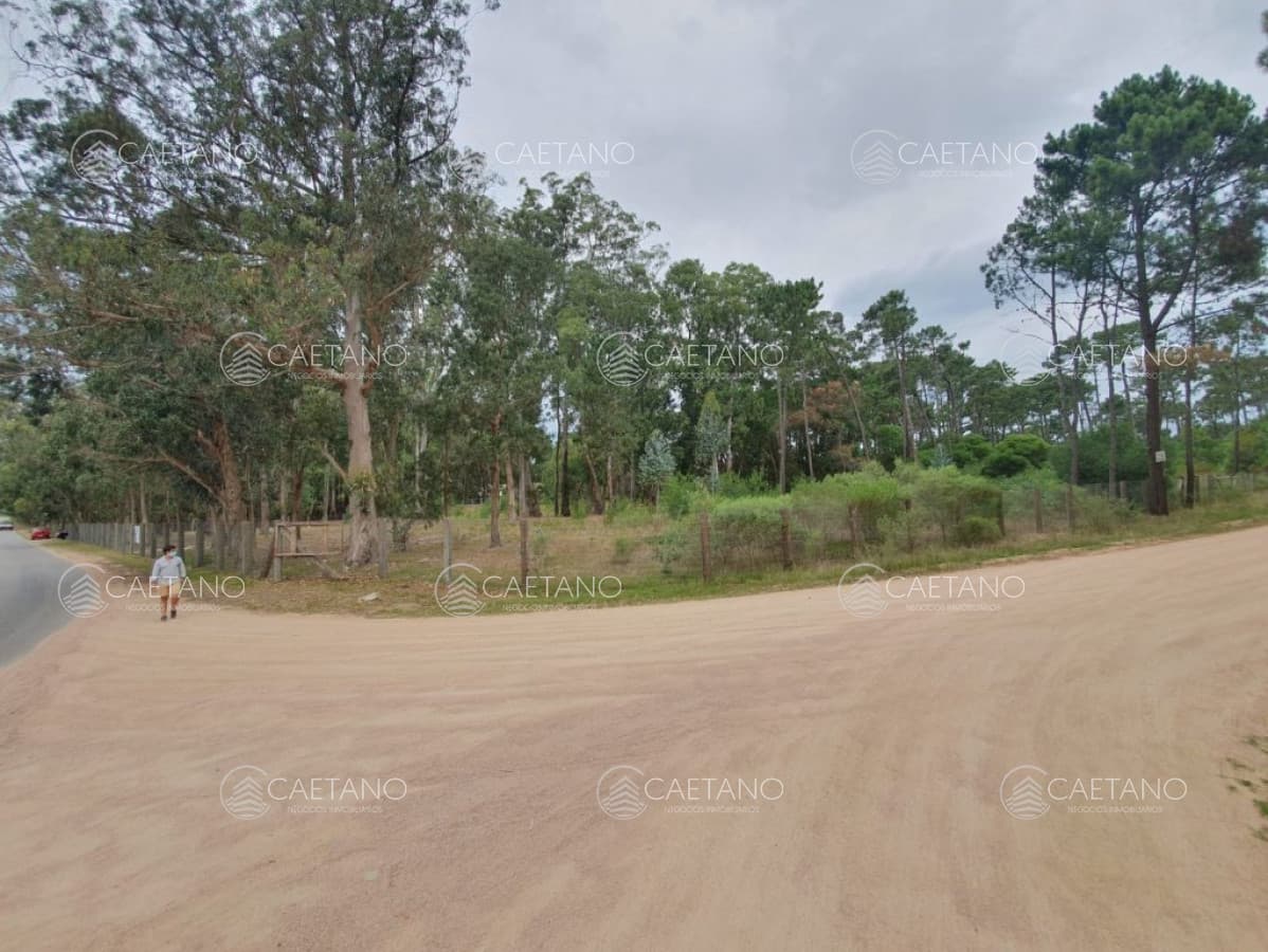 Terreno en venta!