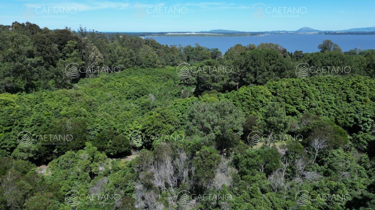 Venta terreno en las cumbres