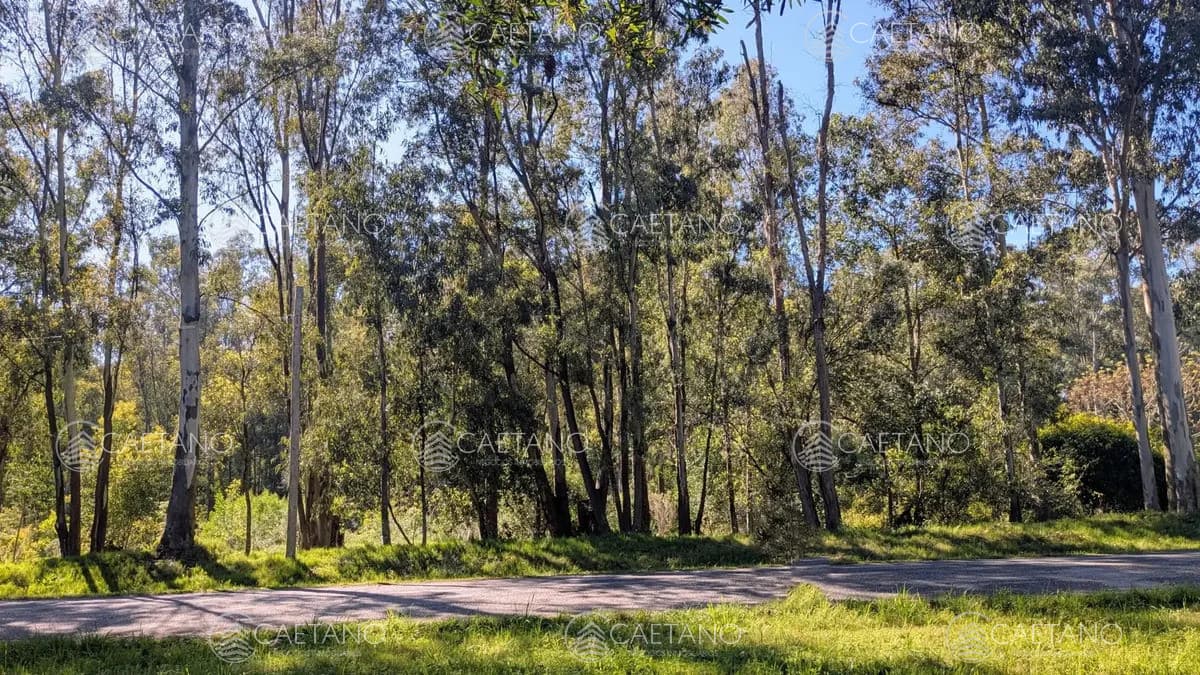 VENTA TERRENO EN BELLA VISTA DE 1794 MTS