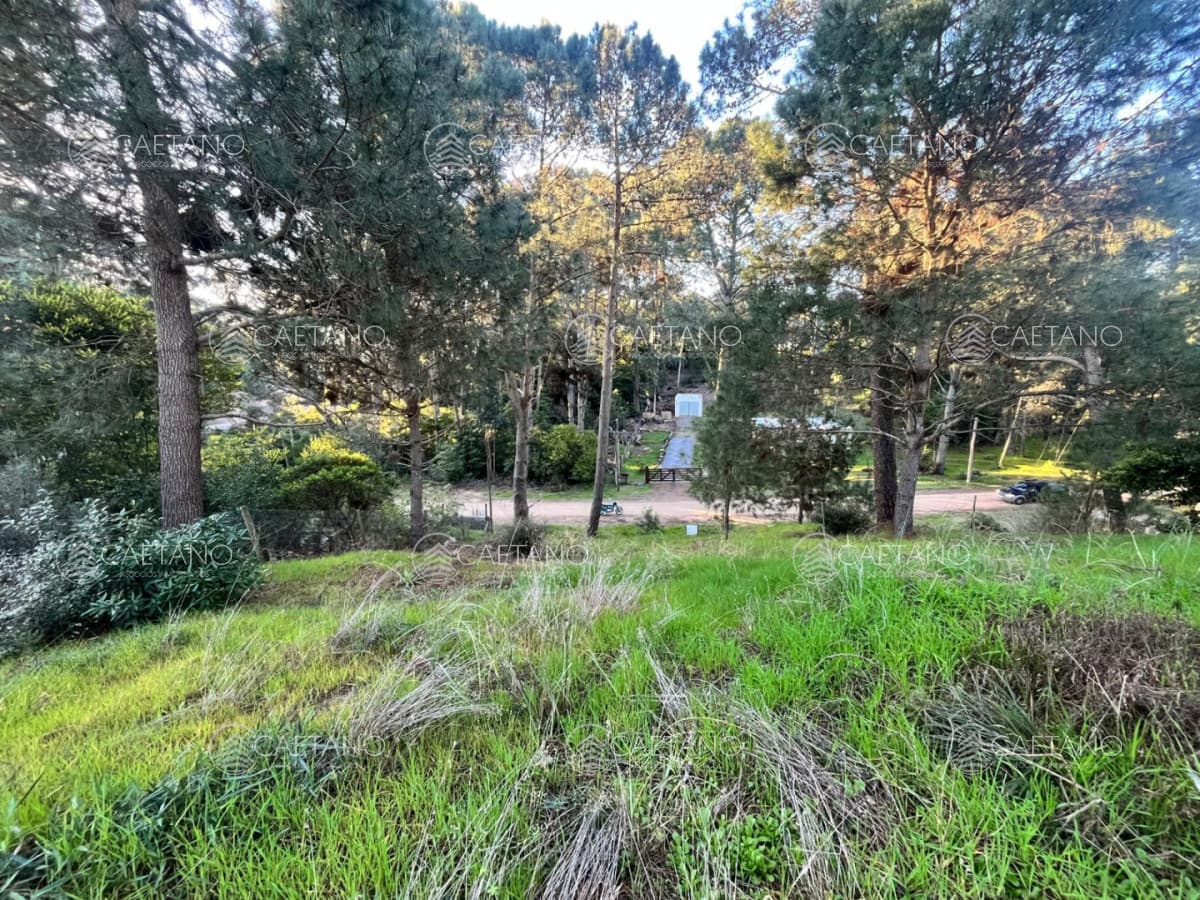 Terreno en venta en Club del Lago, Punta Ballena