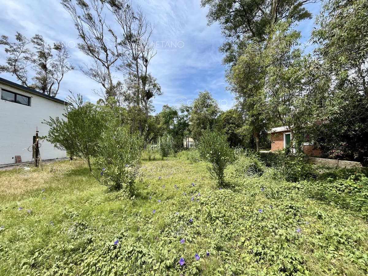 Terreno en venta El Tesoro