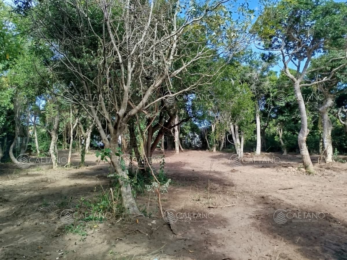 Terreno en venta en Las Grutas