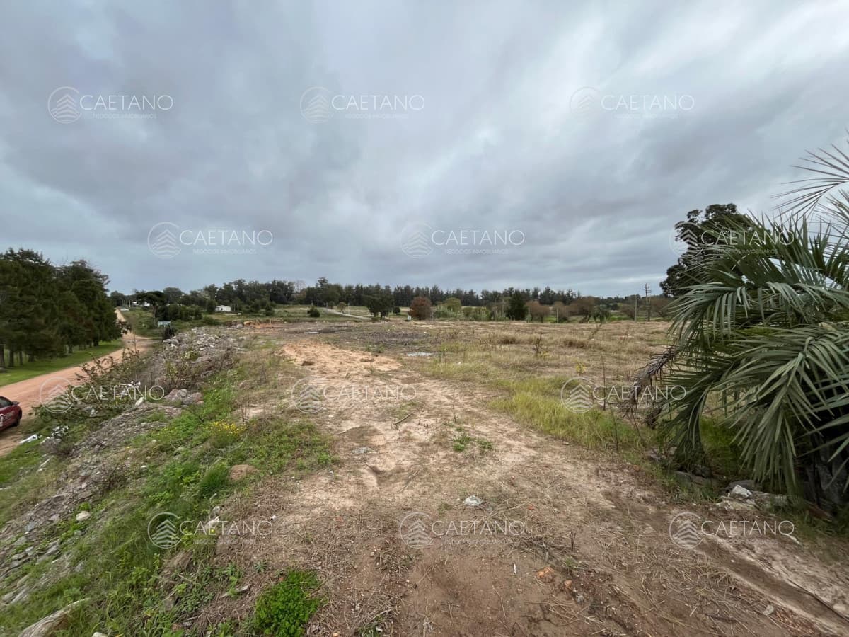 Venta terreno golf Punta del Este.