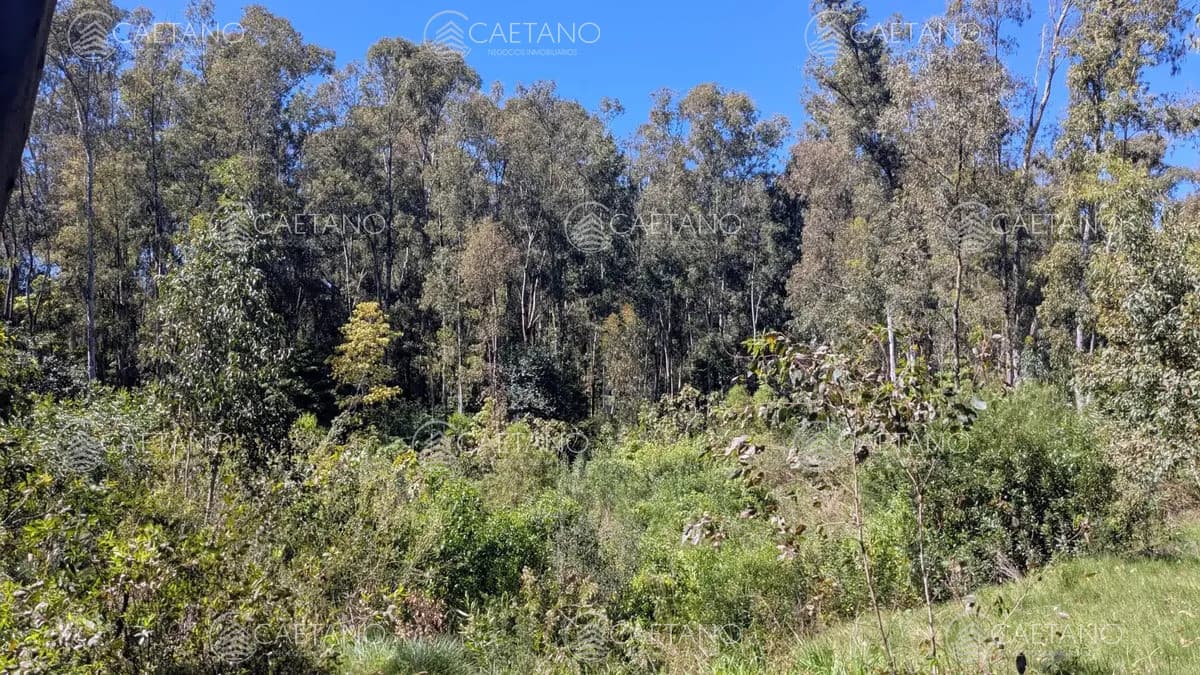 VENTA TERRENO EN BELLA VISTA DE 1794 MTS