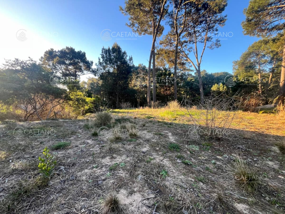 Terreno en venta en Club del Lago, Punta Ballena