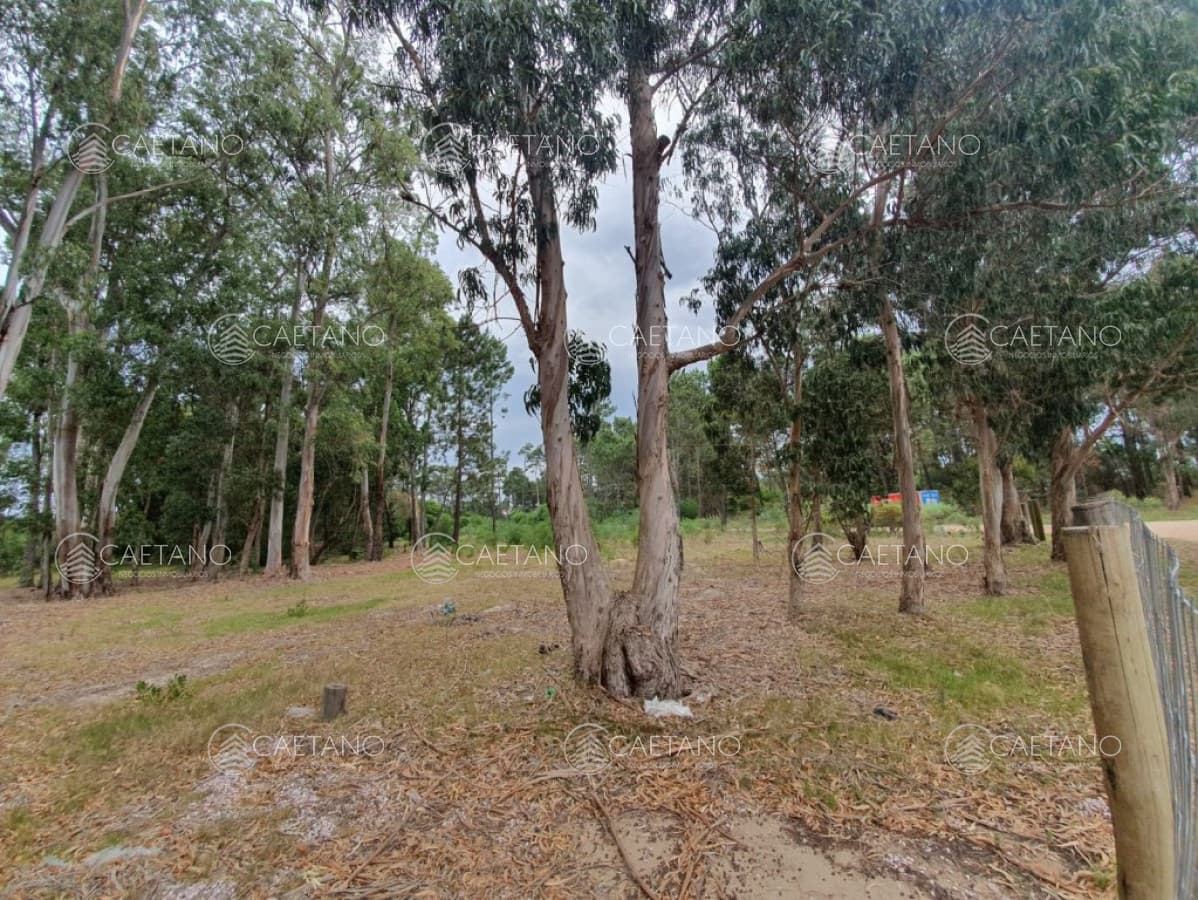 Terreno en venta!