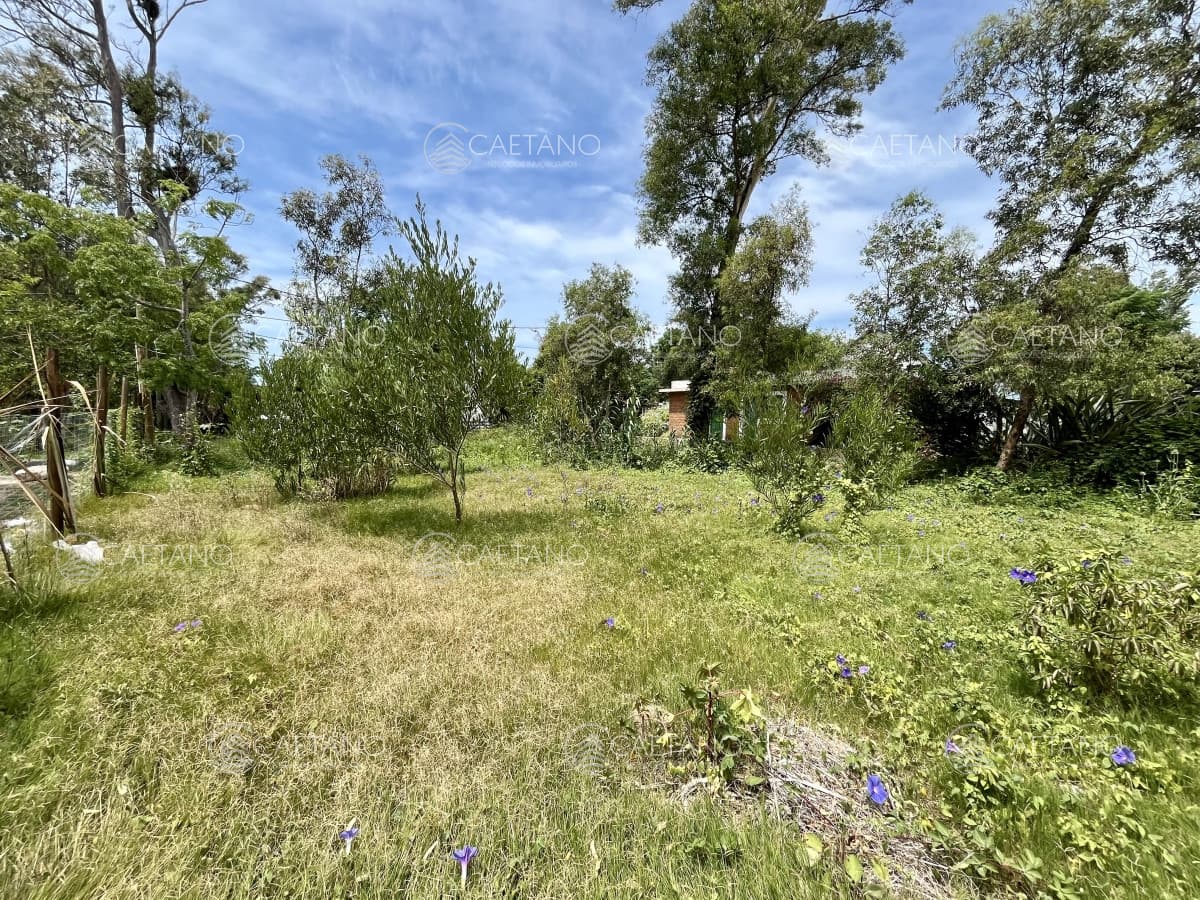 Terreno en venta El Tesoro