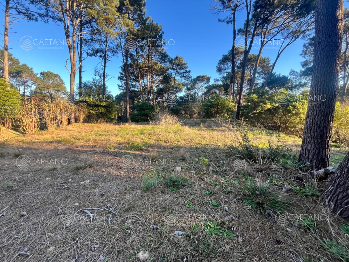 Terreno en venta en Club del Lago, Punta Ballena