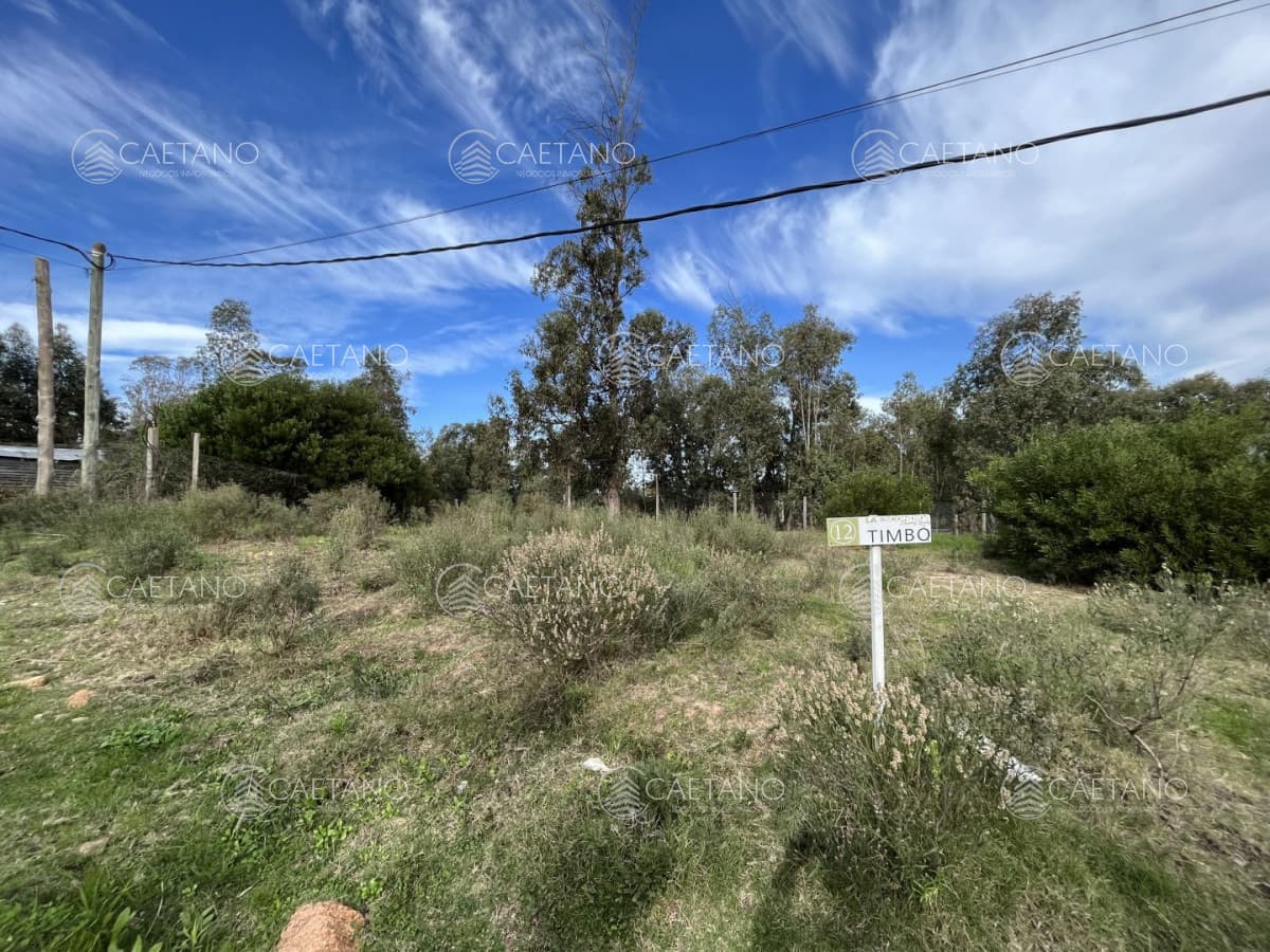 Venta lote en la barra