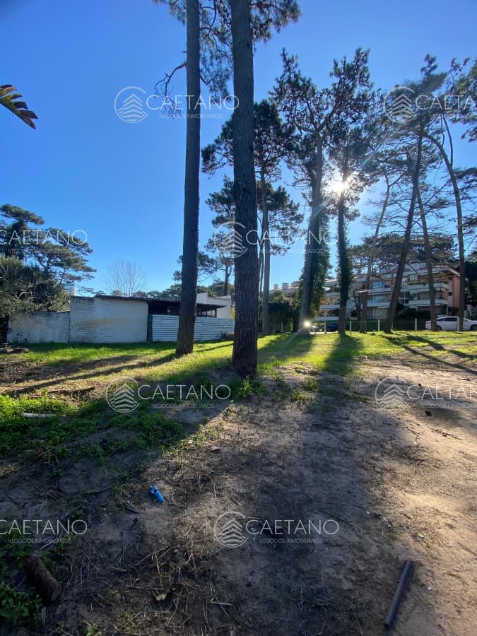 Oportunidad venta terreno Punta del Este con casa para reciclar