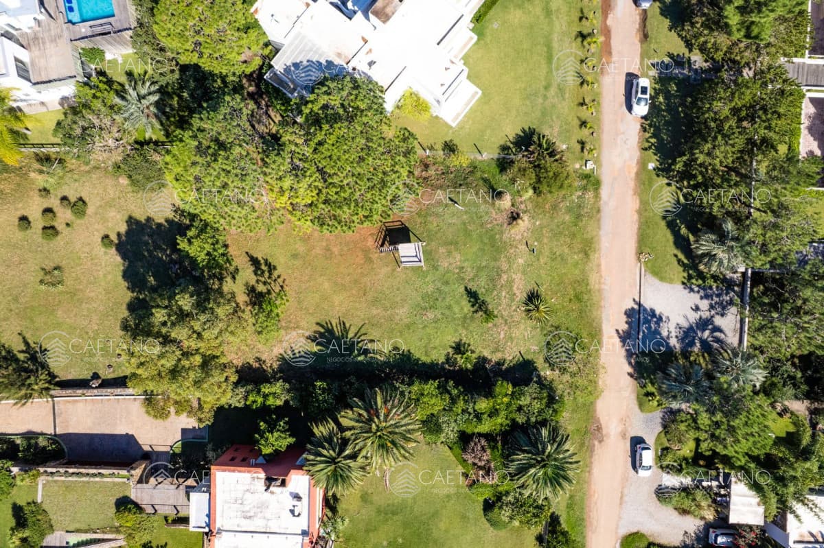 Venta terreno en Punta Ballena -
