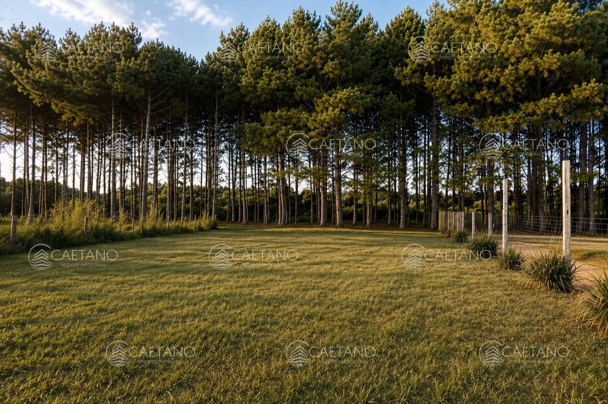 VENTA TERRENO MALDONADO