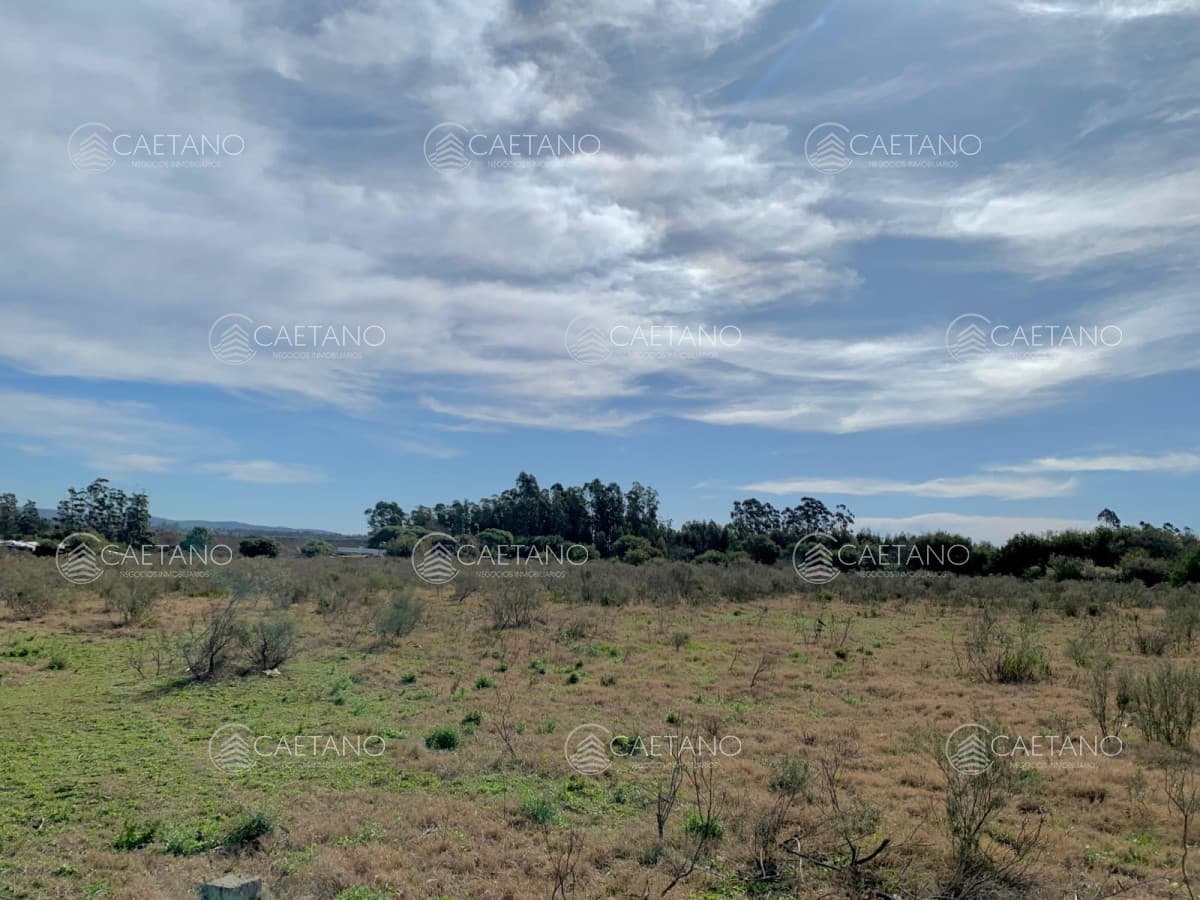 Venta Terreno en Maldonado, San Carlos