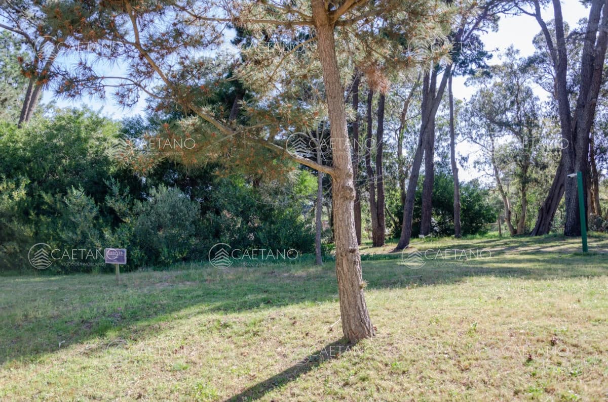 Venta lote en Veramansa, Playa Mansa