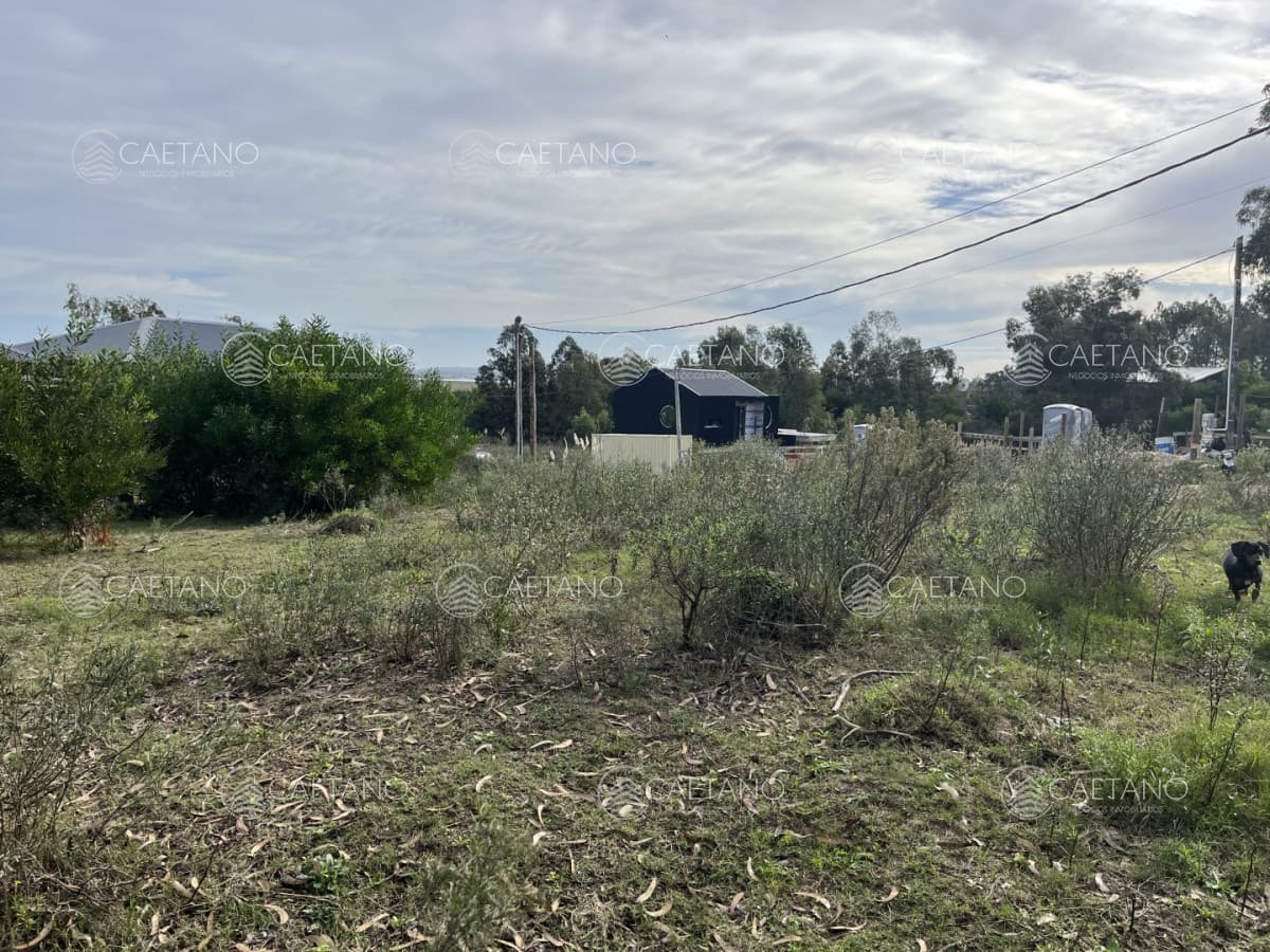 Venta lote en la barra