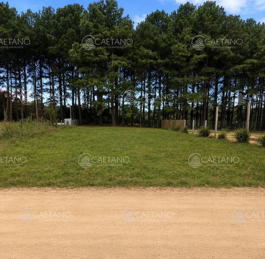 VENTA TERRENO MALDONADO