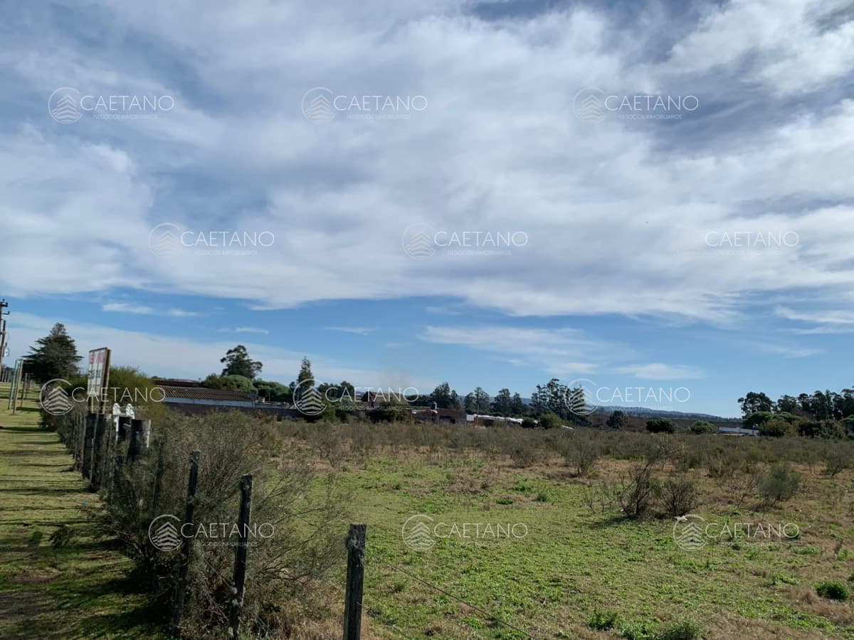 Venta Terreno en Maldonado, San Carlos